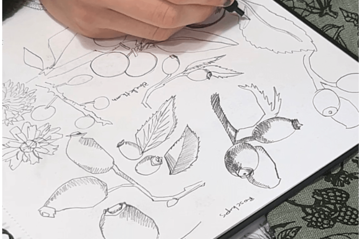 Dylan drawing botanical illustrations in their sketchbook for the Helen Round Forager Collection