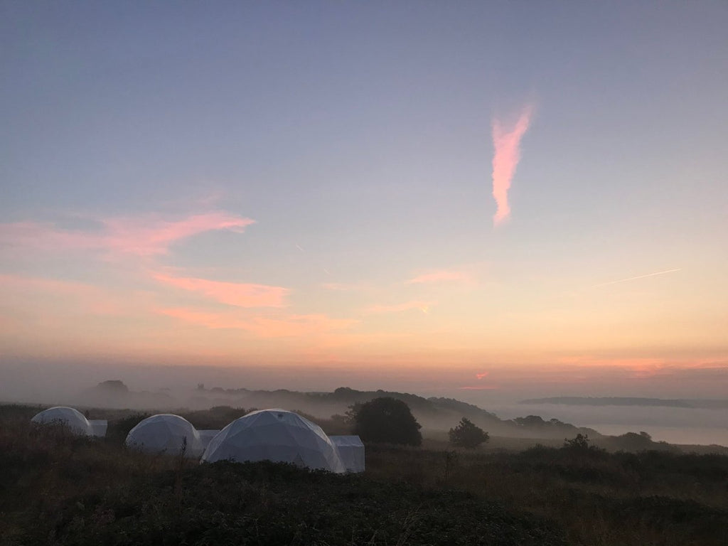 Learn More About Our Neighbours At Maker Heights - WilderMe