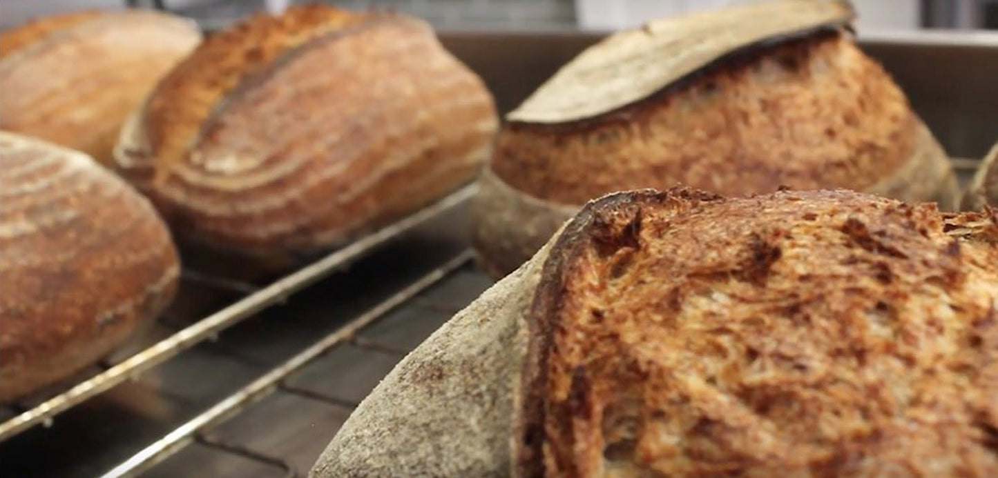 An Easy Sourdough Recipe