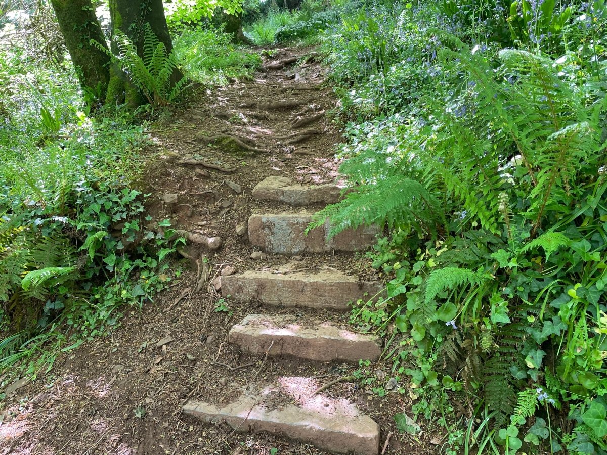 Coastal and woodland views on the circular walk at Maker, Rame Peninsula, Cornwall