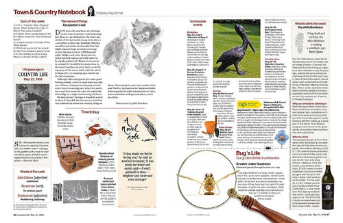 Country Life May 2016 - Article featuring Helen Round