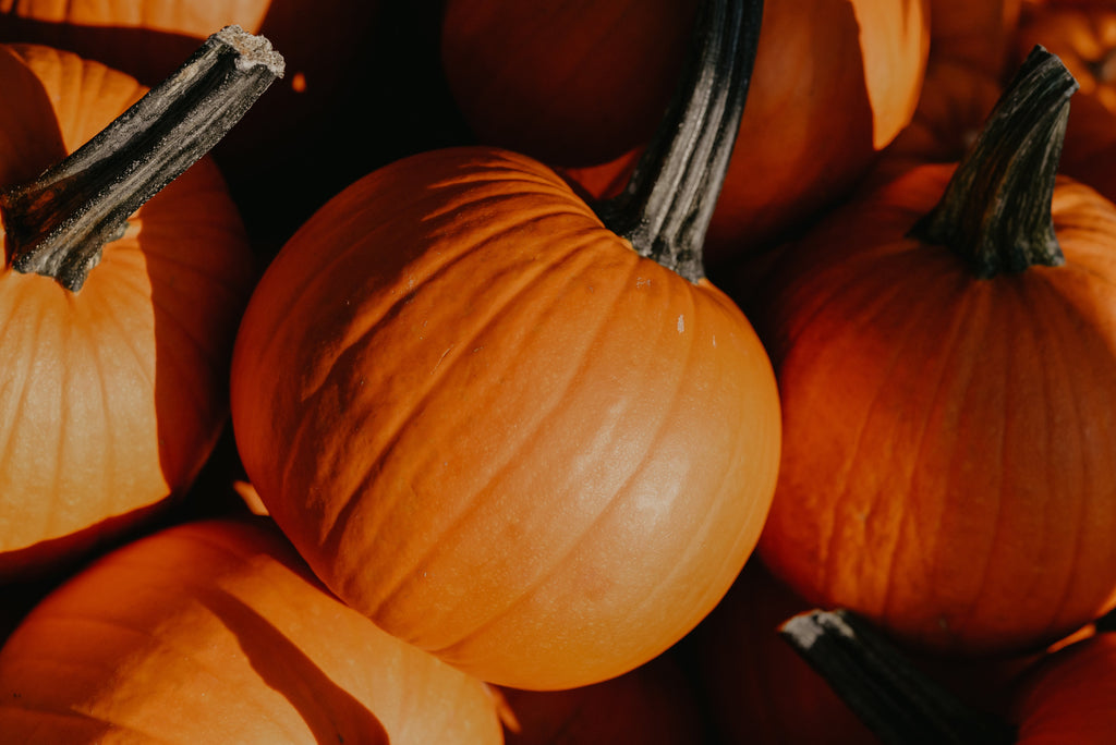 Eat your Pumpkin!  Our five top tips to avoid food waste