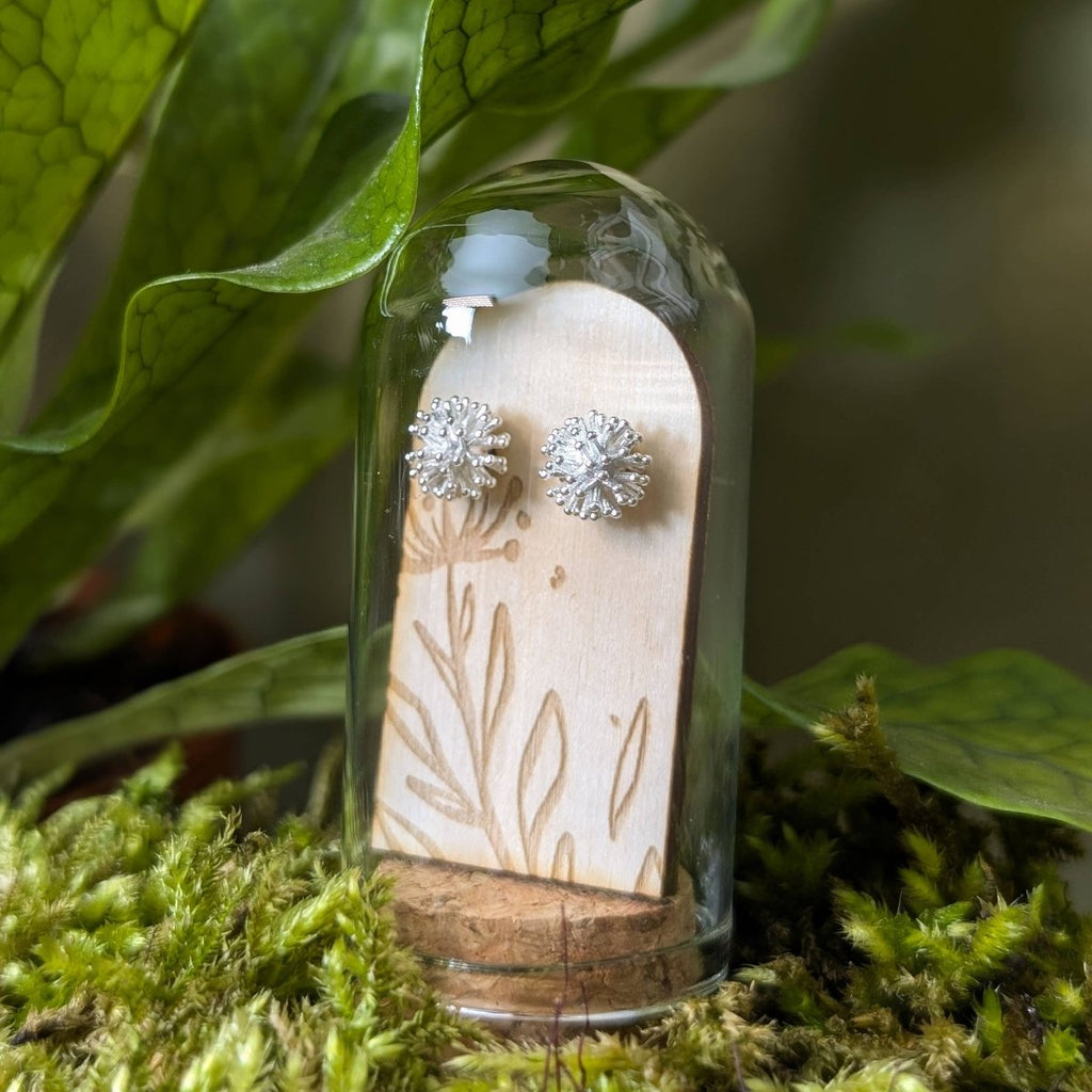 Silver earrings in a glass bottle with plant-themed design on a green leafy background sold by Helen Round