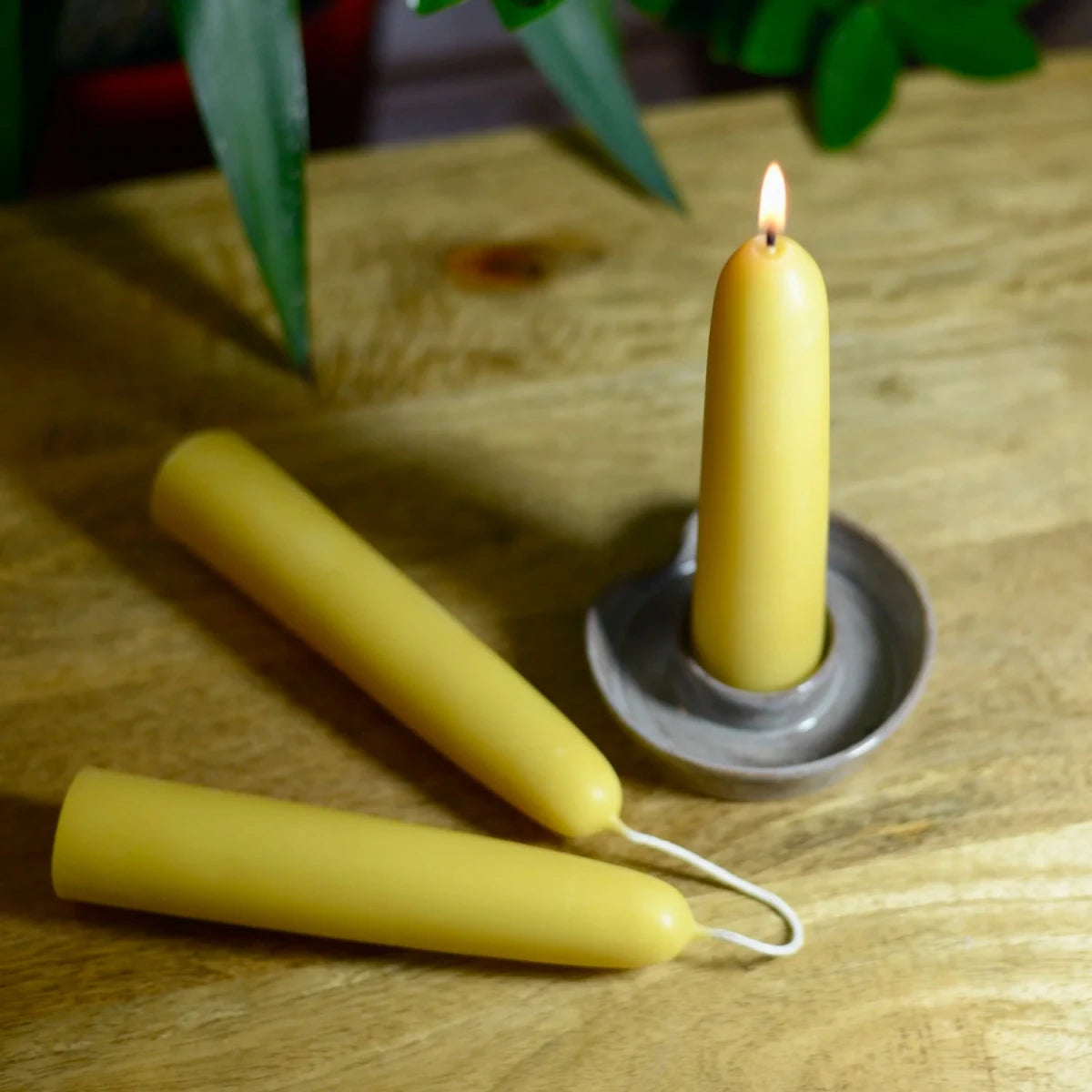 Hand dipped Beeswax Candles | Large Stumpies- pair sold by Helen Round