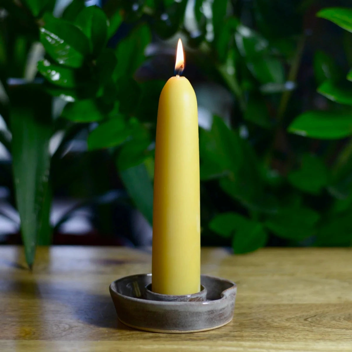 Hand dipped Beeswax Candles | Large Stumpies- pair so;ld by Helen Round