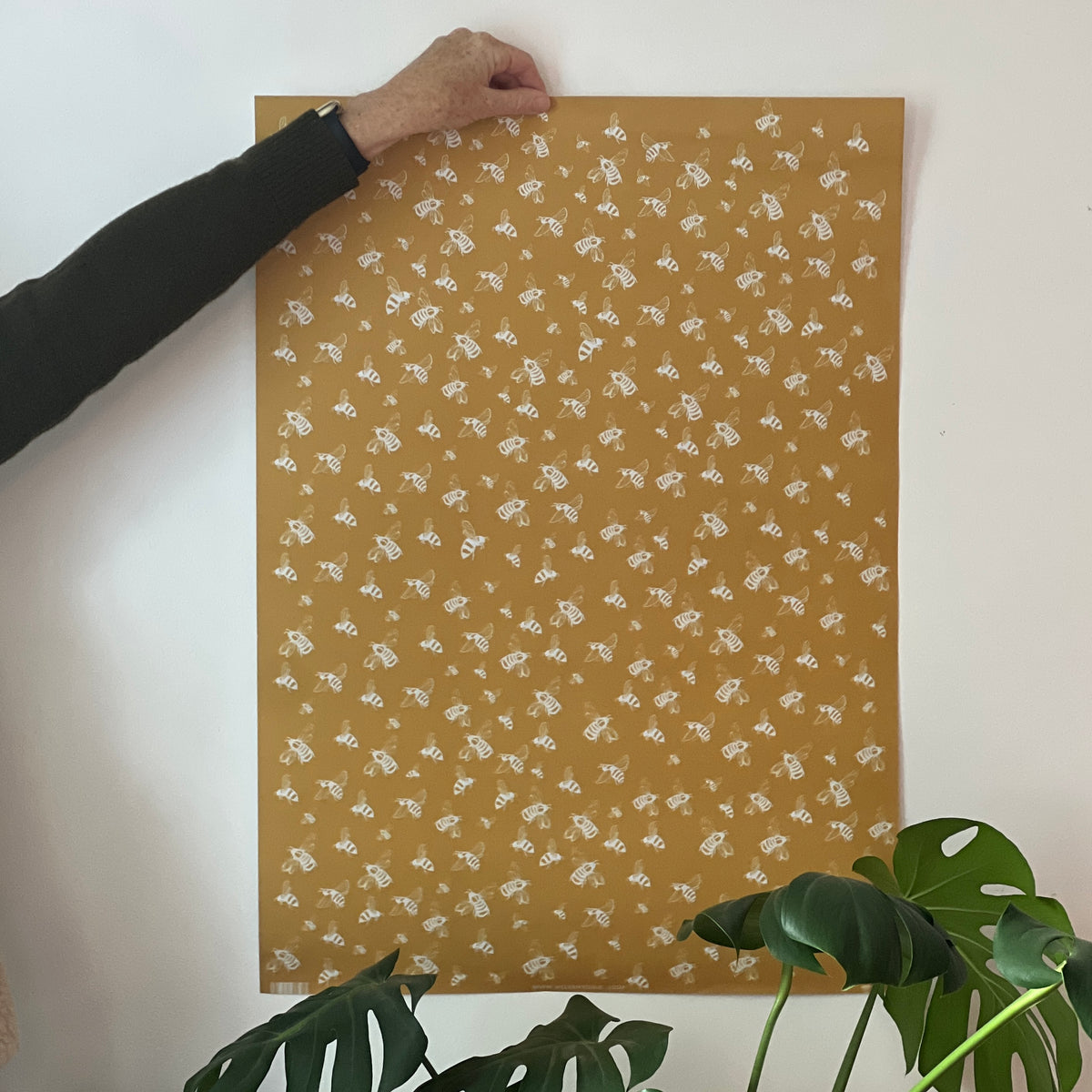 Helens hand holding a large sheet of mustard yellow wallpaper with a white floral pattern against a plain white wall, with green plant leaves visible in the foreground sold by Helen Round