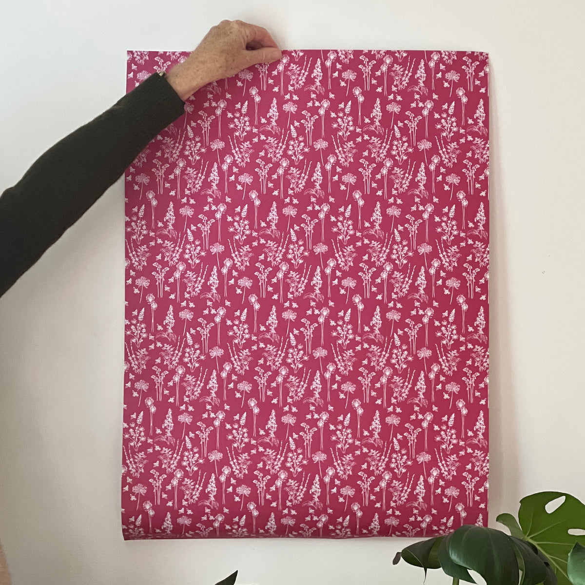 Helen Round raspberry red wrapping paper held again a white wall. 

