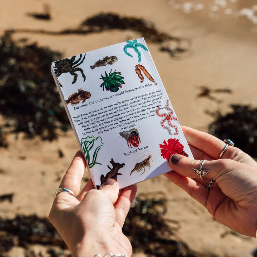 Rock Pooling Pocket Guide by Rachael Farrar sold by Helen Round 