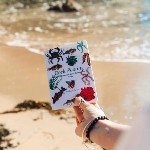 Rock Pooling Pocket Guide by Rachael Farrar sold by Helen Round 