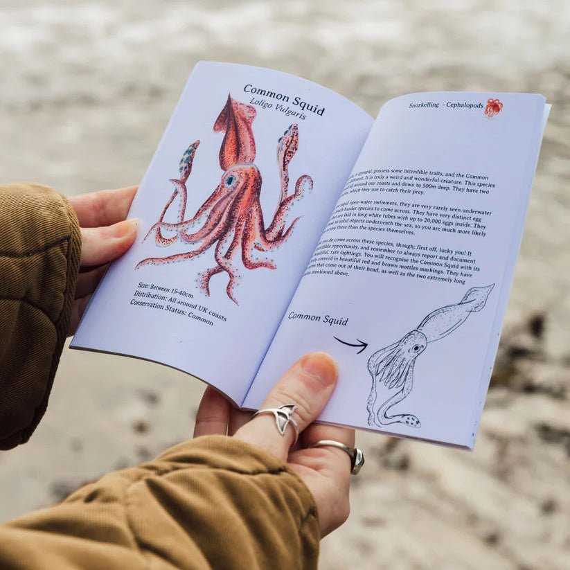 Snorkelling Pocket Book by Rachael Farrar sold by Helen Round