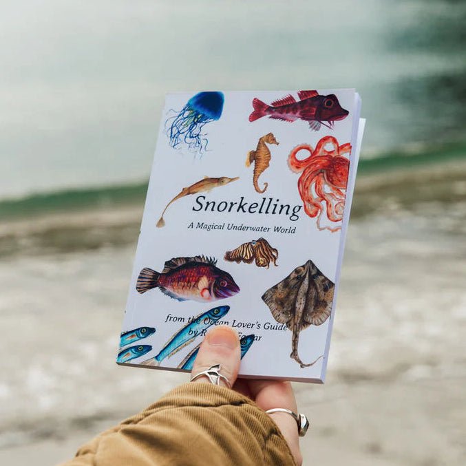 Snorkelling Pocket Book