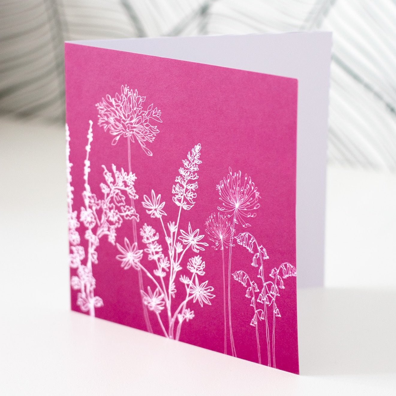 Floral Greetings Card blank inside with hand drawn design of white flowers on a raspberry red background,  by Helen Round