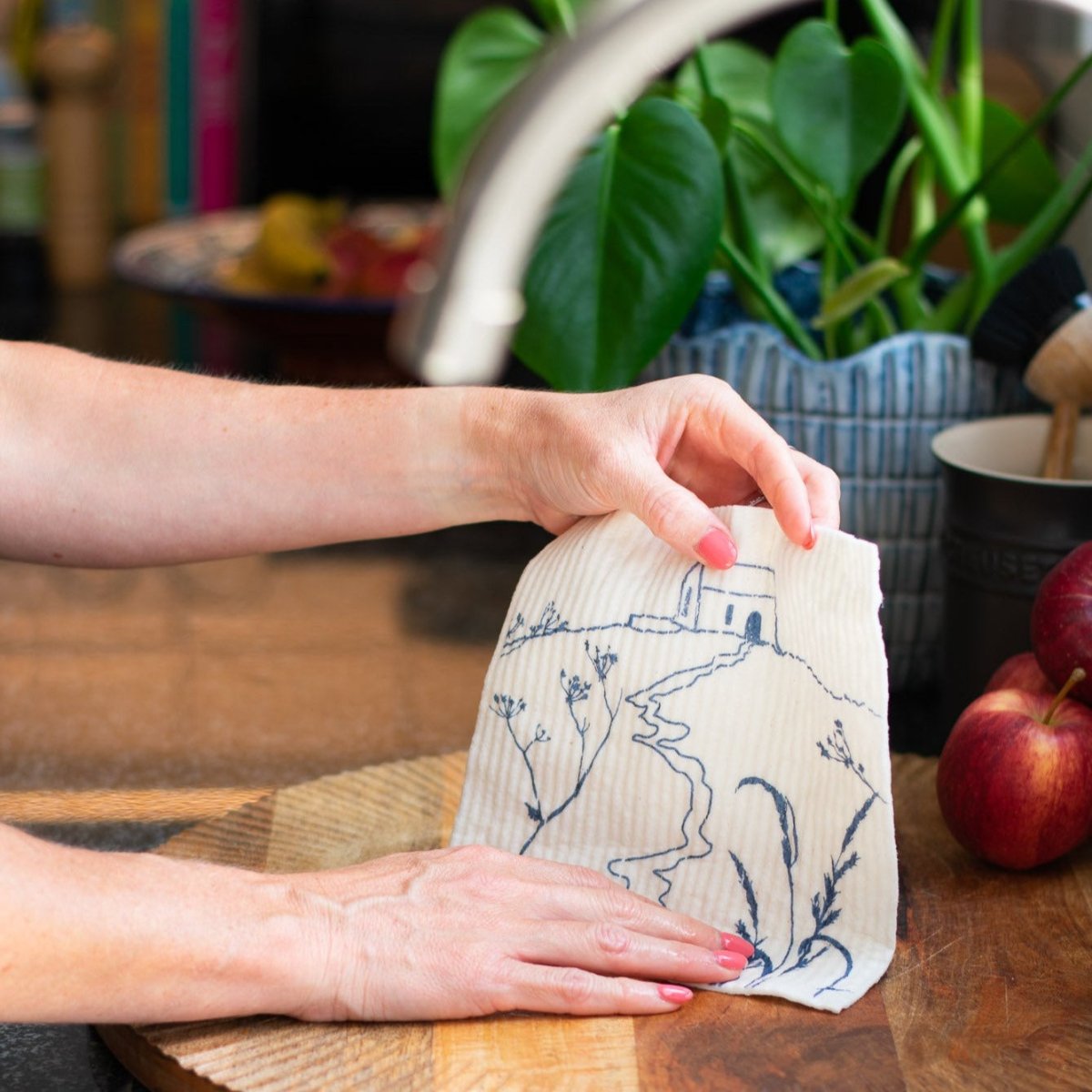 Eco Kitchen Sponge Cloths in Rame Head Design